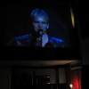 Beckys_Bender_Miami_Gamblin911_Sting1