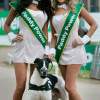 Paddy Power drops Irish greyhound Derby sponsorship