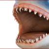 No room for sharks as VC Poker goes fishing