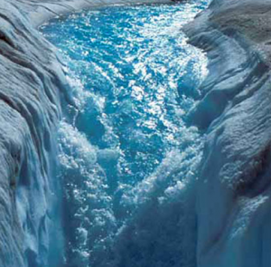 End to global warming, Lifesyle news