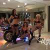 Bodog_Compound8