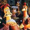 Hawaiians prefer cock fighting to gambling