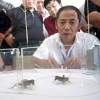 Would you bet a million yuan on a cricket?