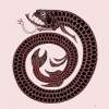 Dragonfish the only thing breathing fire at 888