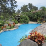 Beautiful Bodog Compound