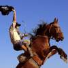 Paddy Power pony punter parlays €35 into €280,000