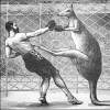 Aussie gov't not down with open internet down under