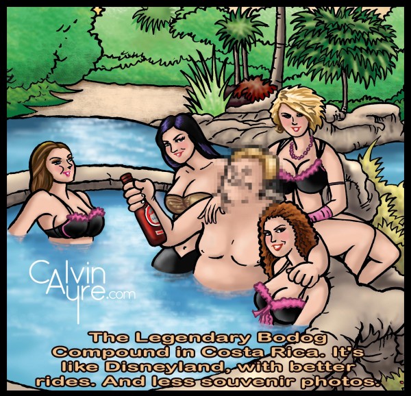bodog compound pool party bodog compound pool party