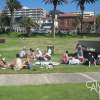 iGBDownUnder_Beach_BBQ14