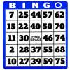 Save 200 bucks on Bingo Summit & Awards Registration!