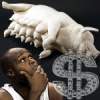 Antoine Walker had bigger money problems than gambling
