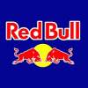Red Bull has the right formula for Grand Prix victory