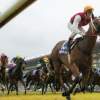 Australian horseracing has lost its public, says bookmaking legend