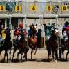 Car bombs, kidnaps and the Koran, but Iraqis keep on gambling
