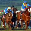 Horseracing can gain from closure of law loopholes