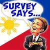 Philippines gambling survey says cockfighting more popular than bingo
