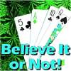 Weird Asian gambling news roundup
