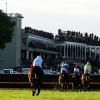 Bookies respond following levy debate