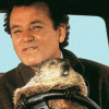 Groundhog Day just another day to bet