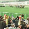 Horserace levy decision finally made