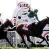 Tote field down to six mystery bidders