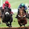Bookies violated at Cheltenham; Paddy Power payday; Towcester feels a void