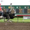 Racetrack chief spits out dummy