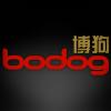 Senior Java Software Developer - Bodog Asia