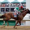Animal Kingdom favoured in Preakness