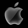 Apple’s iOS floods workplace