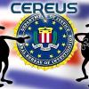 BLACK FRIDAY: Cereus CS chief threatened to go to FBI unless staff got paid