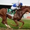 Shackleford ends Triple Crown run for Animal Kingdom