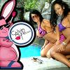 Part 2 of Calvin Ayre's wild life begins at 50th birthday party in Costa Rica