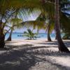 Caribbean gaming conference headed to the Dominican Republic