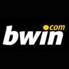 bwin wins domain name case