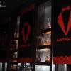 Bodog Social - Blush
