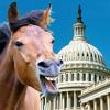New federal bill would make legal horse wagering even more legal