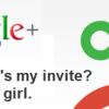 Still not enough birds on Google Plus