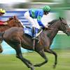 Horse racing to see cut to fixture list