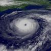 How to survive a Hurricane