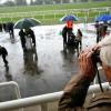 On course bookie gets 18 month ban