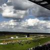 BHA delays fixture list and appoints new chief executive