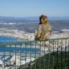 Gibraltar chief minister heads to UK; Hungary taxing from 2012