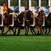 BHA and William Hill want judicial review of levy