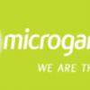 Microgaming Poker founds Network Management Board; PCA schedule announced for 2012