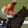 Jockey surrenders riding license in protest over new whip regulations 