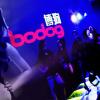 Bodog88 Live Dealer Casino Launch Party Highlights