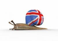 British Broadband Snail