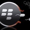Blackberry Busted