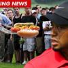 Tiger gets hot-dogged and Tuilagi vaults